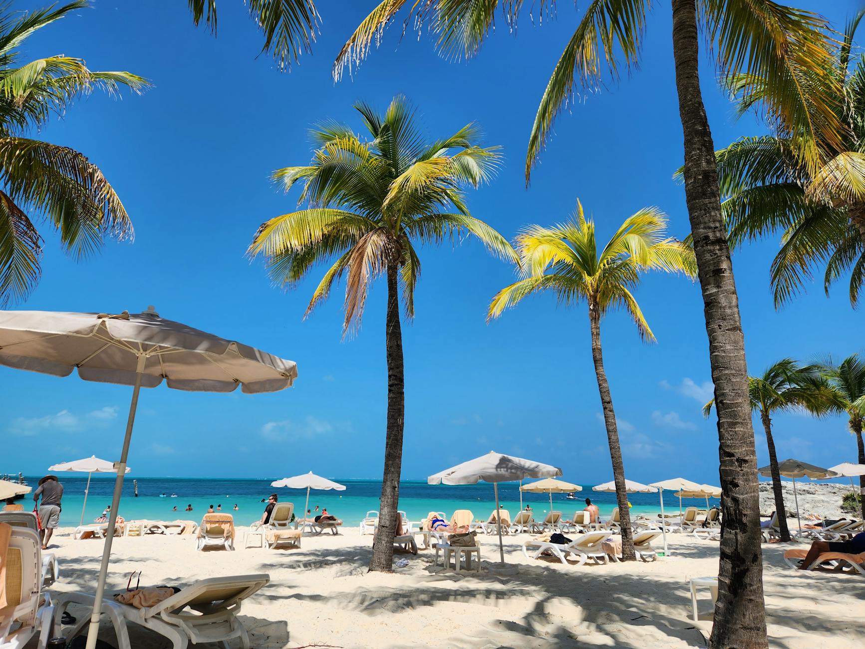 Tropikalna plaża w Meksyku z palmami i leżakami w słoneczny dzień