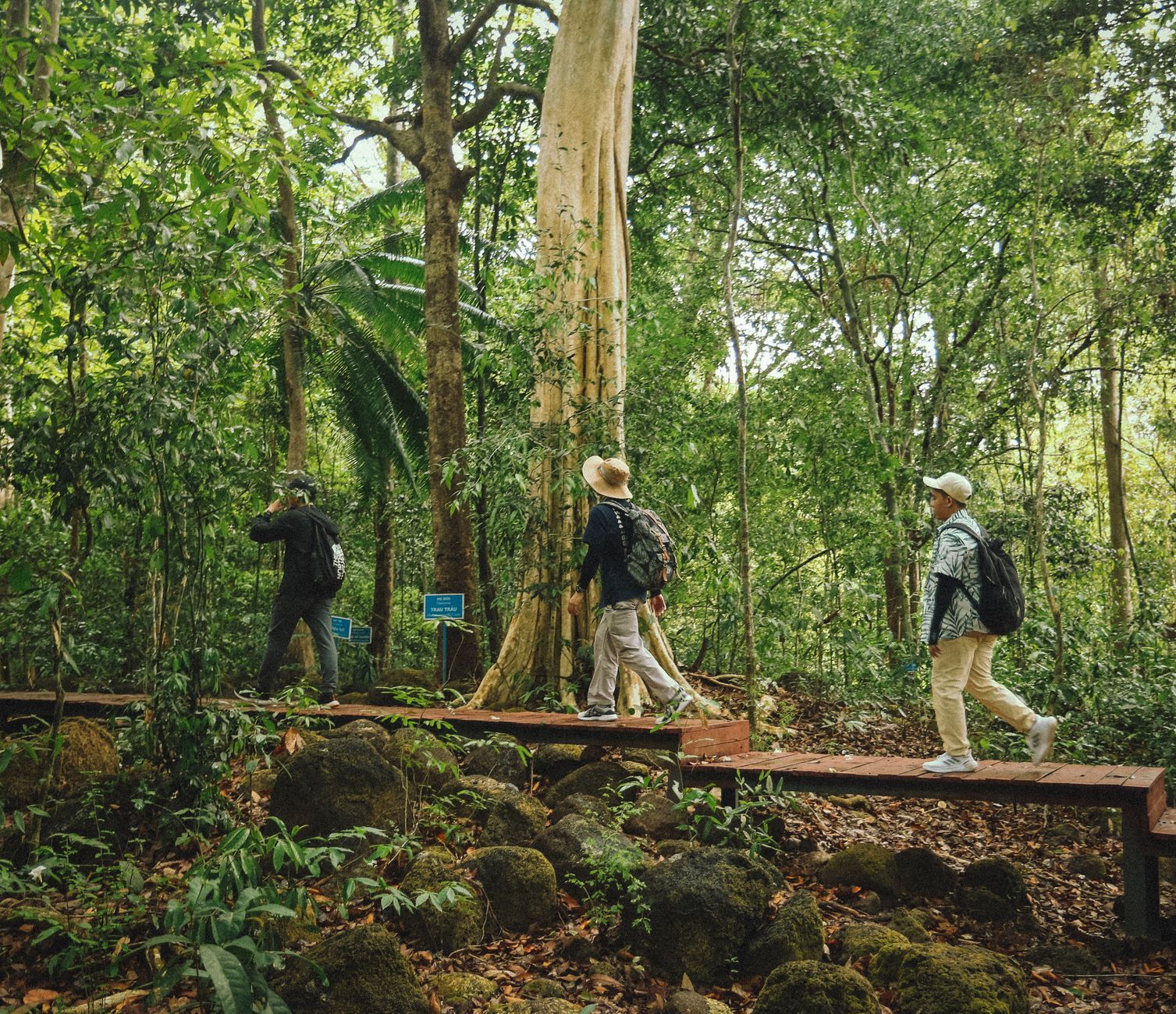 Taman Negara: noc w dżungli, canopy walk i spotkanie z tropikami