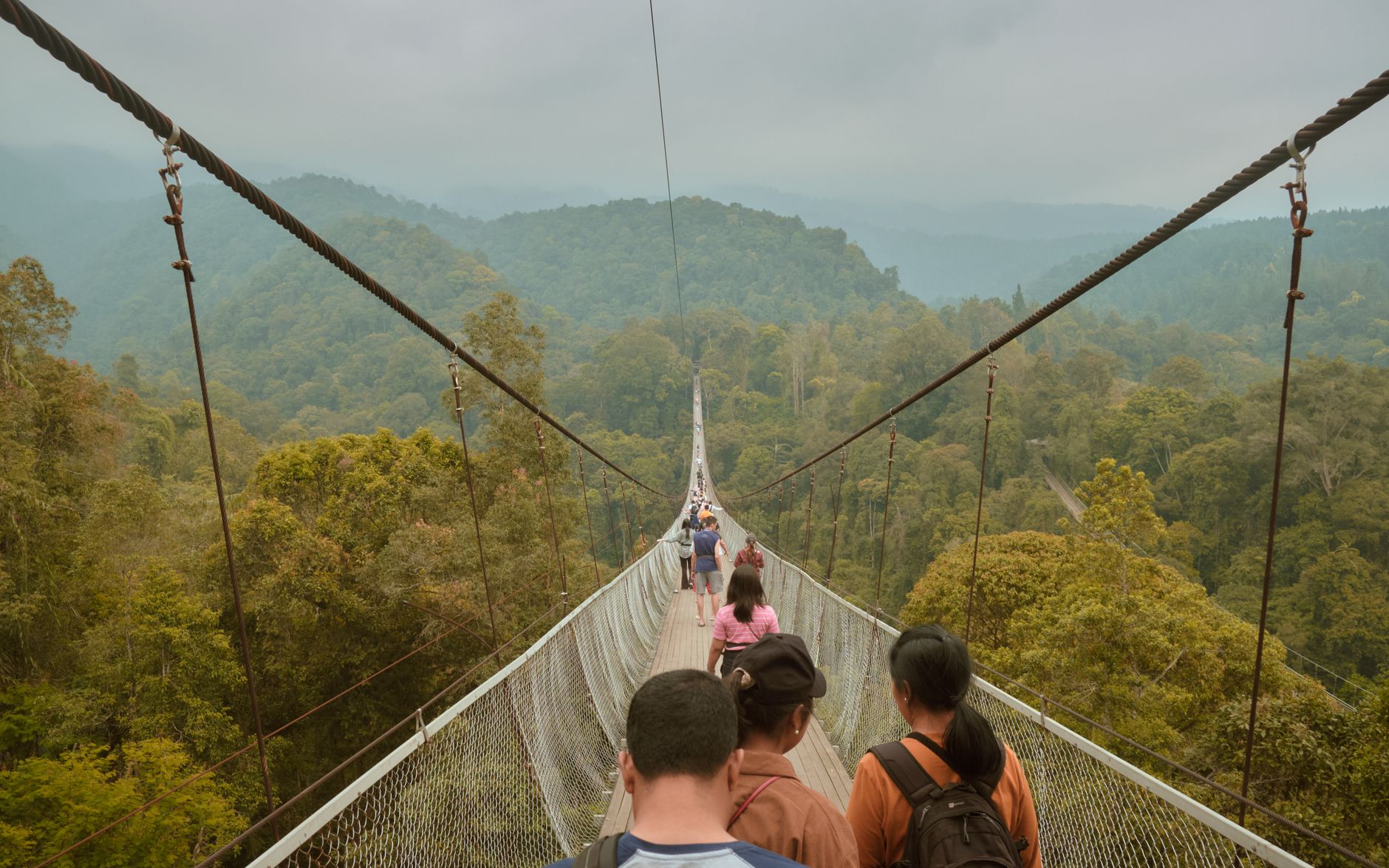 Taman Negara: noc w dżungli, canopy walk i spotkanie z tropikami